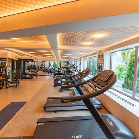 Belvedere Брашов