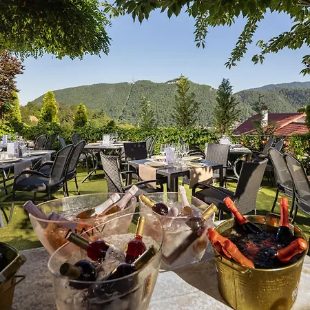 Belvedere Hotell 4*