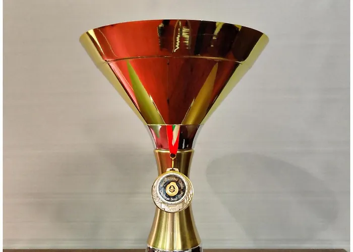 Hotel Belvedere Brasov